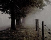 Dreamy Autumn Fall Fog // Fine Art Photography // Vintage Sepia Green Brown 13" X 18" - IraBlumPhotography