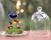 Butterfly Terrarium Kit, Real Butterfly Under Glass Dome, Dry Terrarium, Mod Buttons