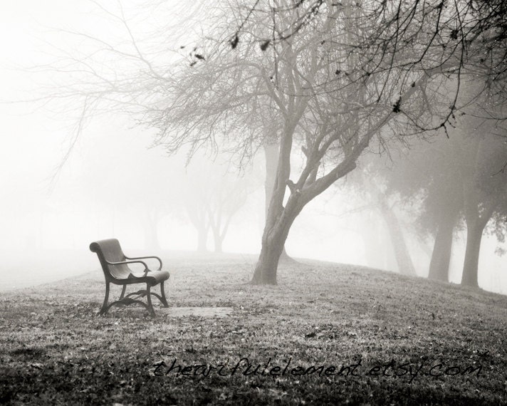 Quiet Bench in fog - Art Photography, Home Decor, Black and White, park, winter, foggy, wall art