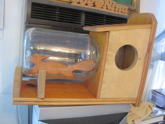 items similar to handmade squirrel feeder with 1 gallon items similar to handmade squirrel feeder with 1 gallon