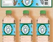 Birthday or Easter Bunny Water Bottle Labels DIY Printable File Il_170x135