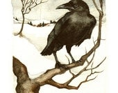 Winter Crow - thehermitage