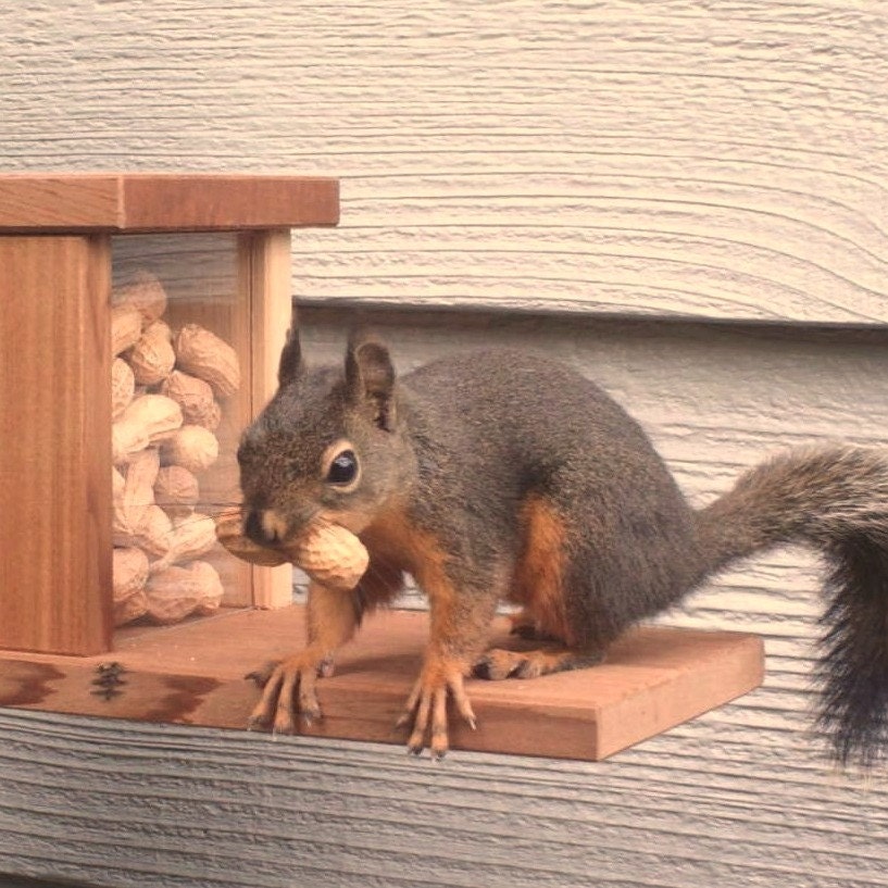 Squirrel Feeder in Reclaimed Wood