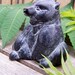 Vintage Collectible Boma Black Bear , Canadian Native Americana Reproductions , Boma with Cipher marks