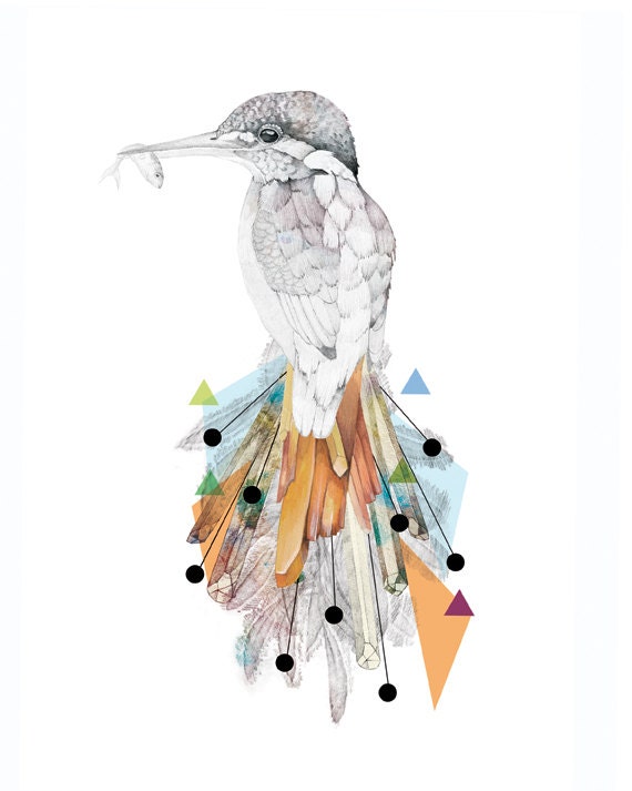 Kingfisher   A3 SIZE