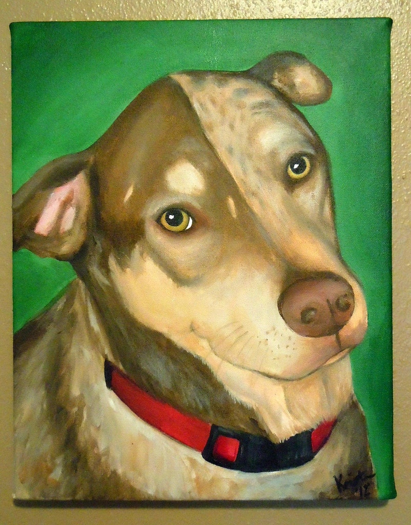 Custom Pet Portrait 11 x 14 by Kristen Dougherty