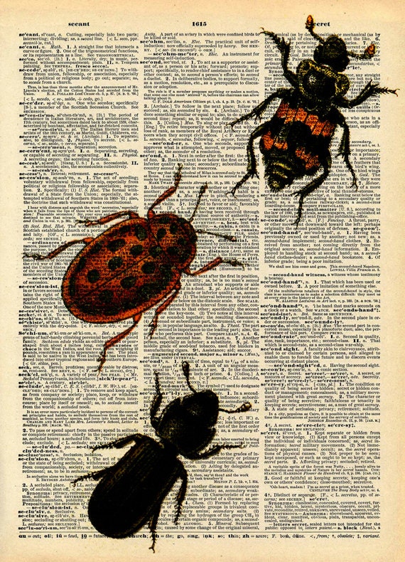 Vintage Book Print - Bugs Insects Art - Upcycled Antique Book Print - Salvaged Book Decor - Natural History Beetle