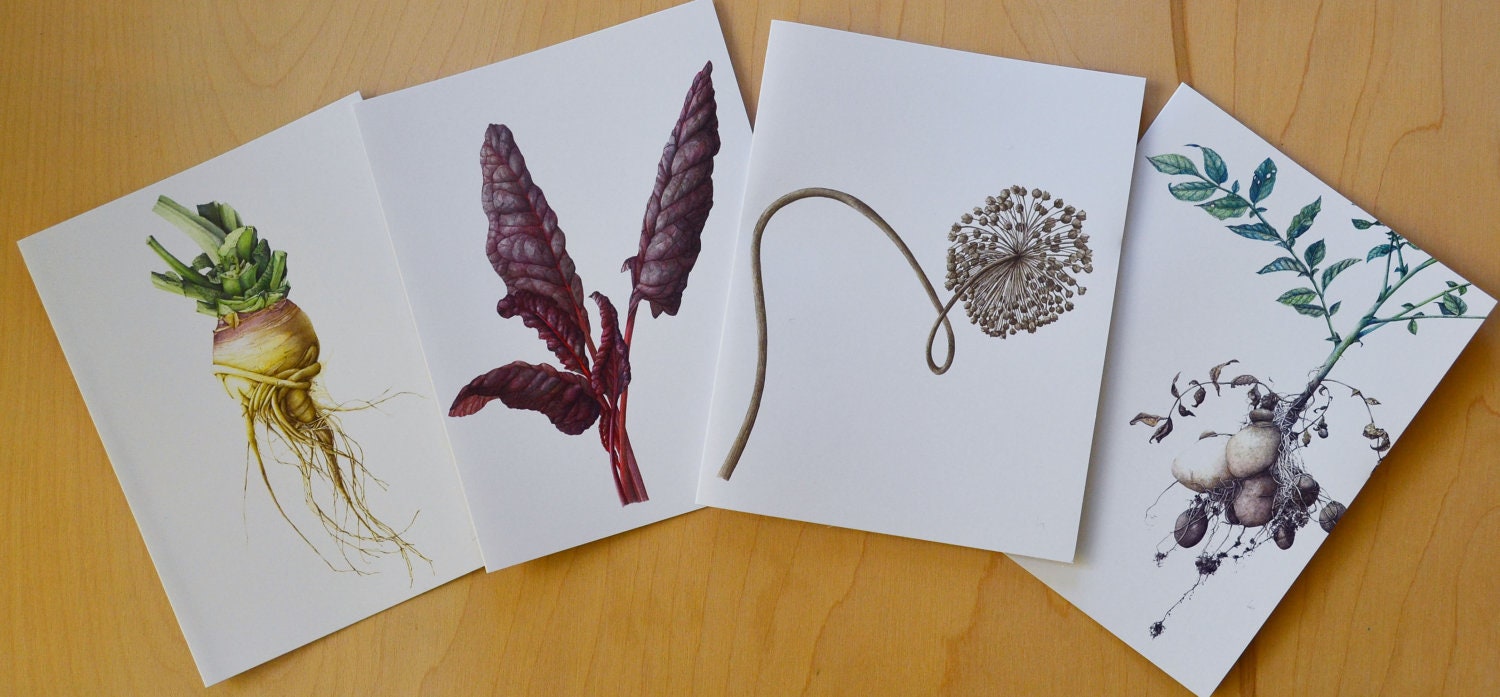 Botanical Art Cards, Series 03 - Vegetables