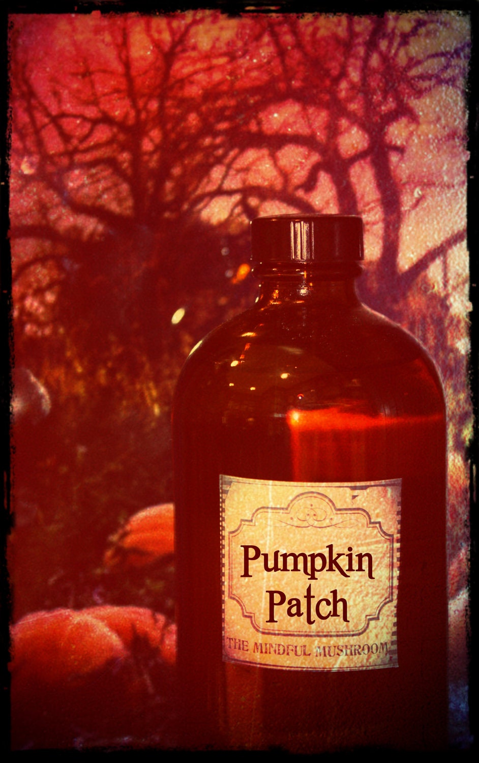 PUMPKIN PATCH-Hand Blended Artisan Oil-1ML Sample Vial-(primary notes: pumpkin, cinnamon, clove, nutmeg)