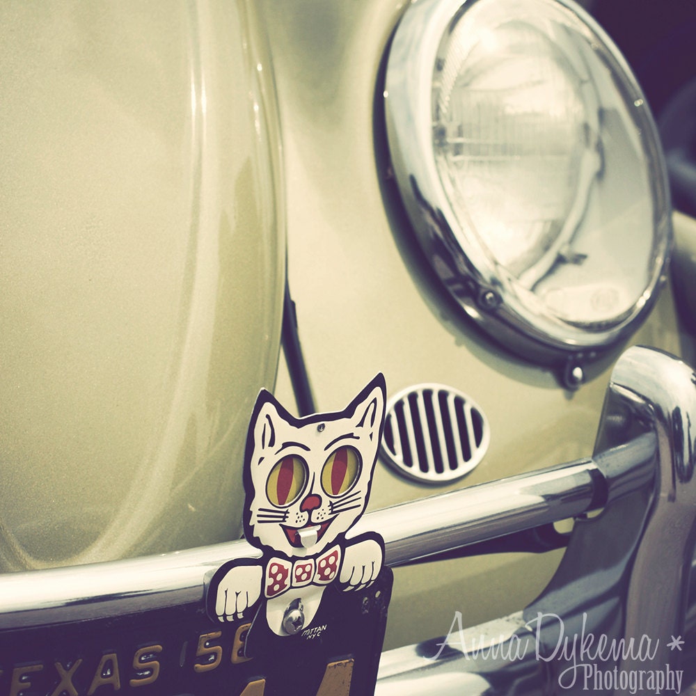 Home Decor - VW Bug Cat - 8x8 Fine Art Photography Print - green, olive, volkswagon, chartreuse, avocado, travel