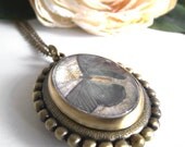 Vintage Gray Butterfly Pocket Watch (Necklace)