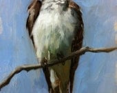 Eastern Kingbird - Bird Painting - Open Edition Print