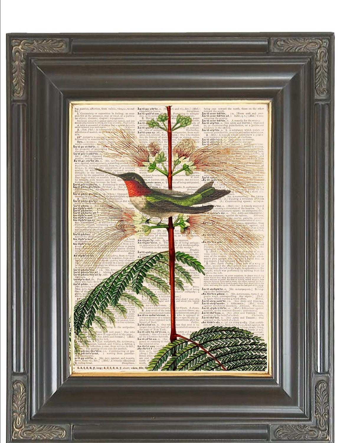BOGO SALE Vintage hummingbird Pink  powderpuff flower Dictionary art print printed on 148 yr old antique dictionary book page. Item No. 411