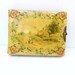 Victorian Photo Album, Antique Celluloid, Landscape Art, Vintage Photographs - Yellow - Green - Gold