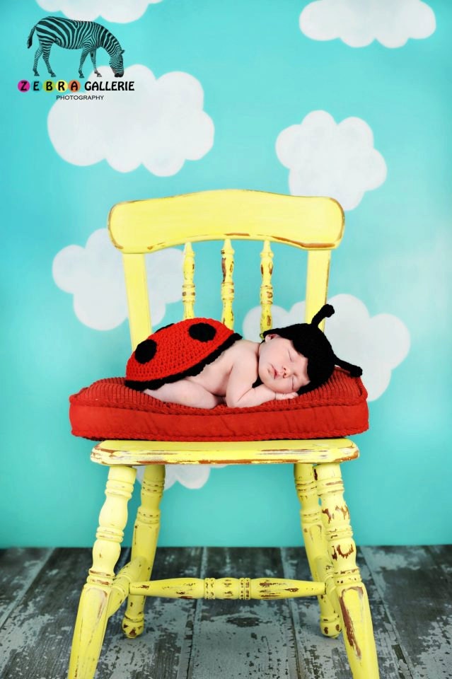 Ladybug Photo Prop - Newborn