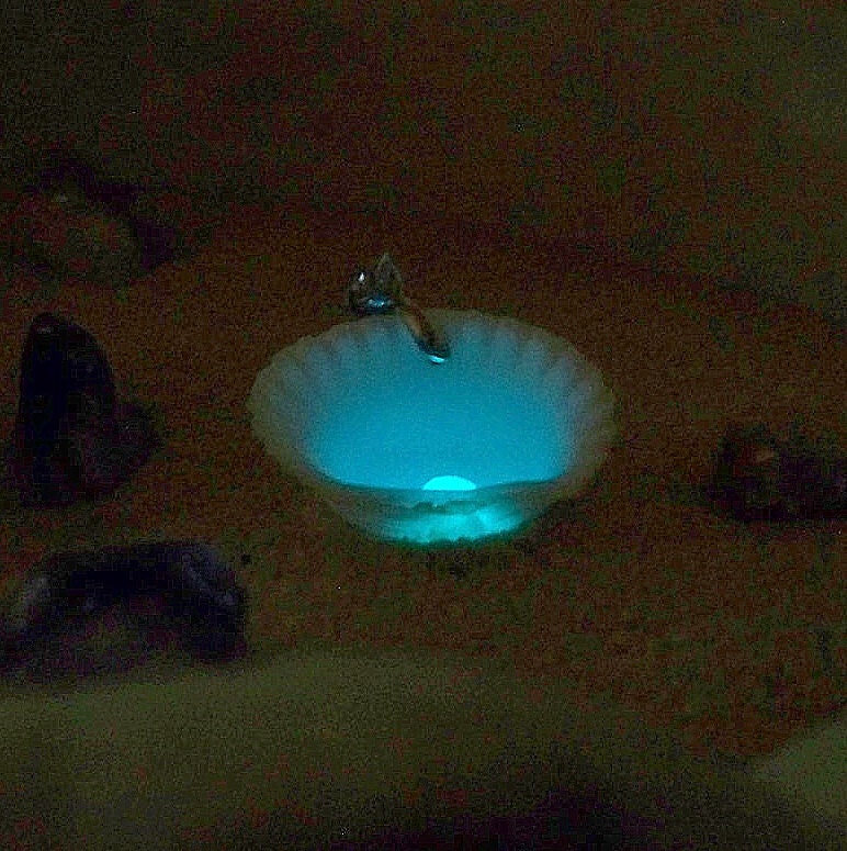 Magical Shell Necklace - Glow in the Dark Clam Style Shell Pendant with Magic Stone - Ocean Blue Glow