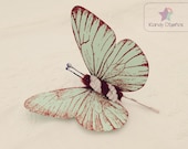 Butterfly bobby pin. Mint Butterflies hair clip Bridal Bridesmaid hair. Butterfly hair, Butterfly Wedding butterfly hair monarch butterfly - KandyDisenos Butterfly bobby pin. Mint Butterflies hair clip Bridal Bridesmaid hair. Butterfly hair, Butterfly Wedding butterfly hair monarch butterfly - KandyDisenos