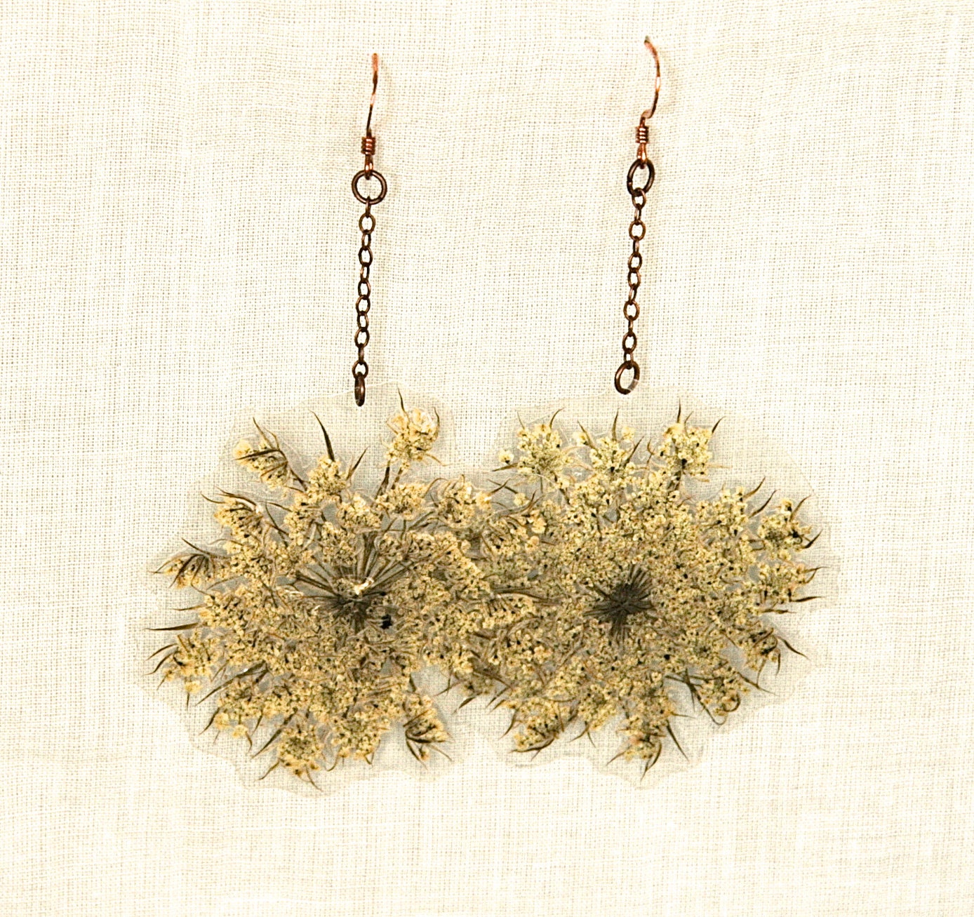 Queen Anne's Lace Pressed Flower Petal Earrings