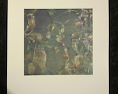 Vintage Art Print "Soap Bubbles" by David E. Scherman - 1950's Scientific American