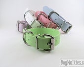 Mint Pastel Green 1" Beta Biothane Dog Collar - Leather Look and Feel - Adjustable Custom Size - DogWalkies