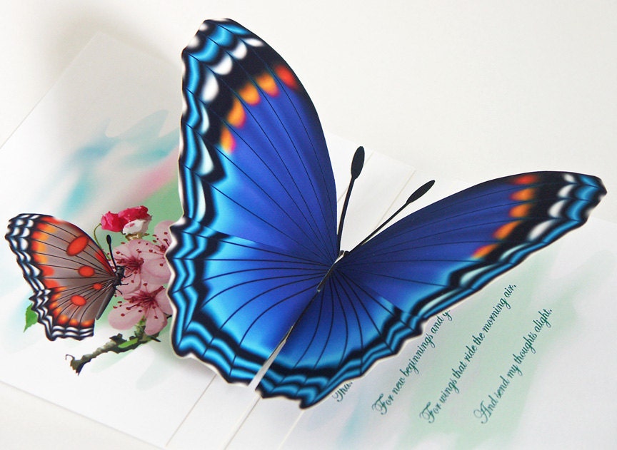3D Pop up Blue Butterfly Card Choose Any occasion Select card size