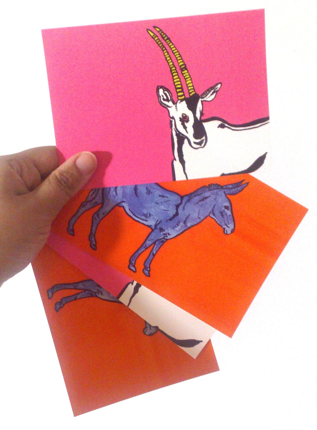 Postcard Set: Oryx & Donkey