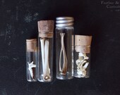 Field and meadow animal bones in vintage vials. Natural history curiosities.