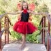 Ladybug Tutu Dress w/ wings & antennas
