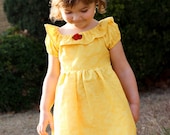 Beauty and the Beast inspired Belle Dress
