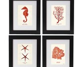 Shabby Chic Coral Sea Art Print Set Of Four From Vintage Science Illustrations: Starfish Print, Coral Print, Seahorse Print, Sea Algae Print