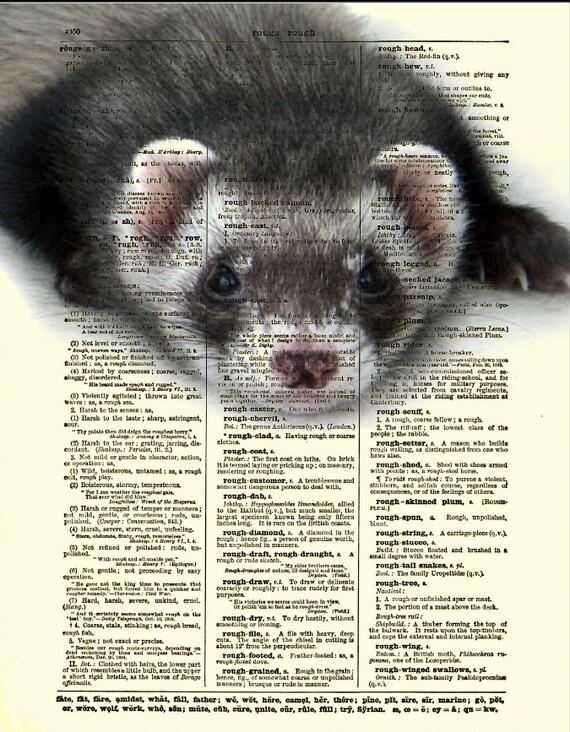Ferret Art Print Ferret Dictionary Art by ReImaginationPrints