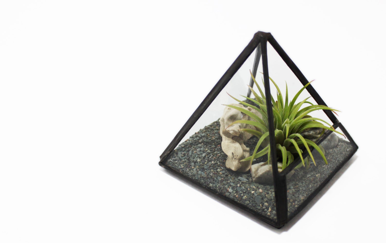 Stained Glass Prism Terrarium Kit for Air Plant - SHIPS TO CANADA