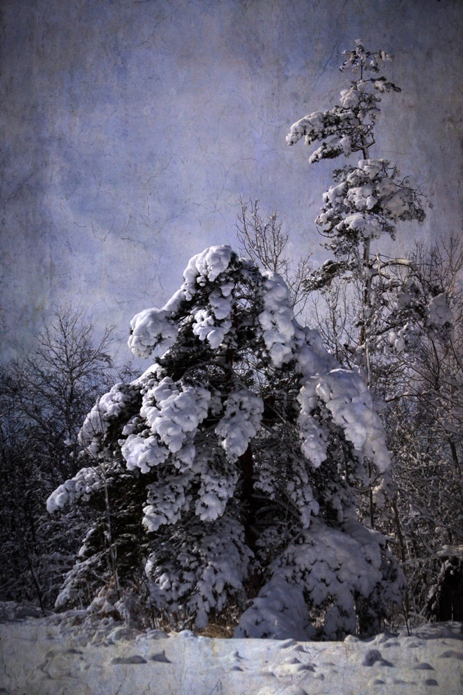 landscape photography 12x18 fine art photography nature snow winter home decor