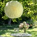 Large White Ruffled Pendant Light - Round Hanging Lamp Shade
