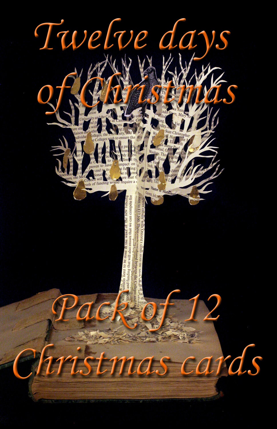 Pack of 12 twelve days of Christmas book sculpture cards