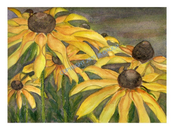 Black-Eyed Susan 2 - Print of Original Watercolor Painting by Jamie Dauch Michigan artist - cottage Decor botanical flower still life