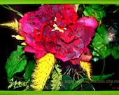 Pink ABSTRACT FLORAL PRINT Giclee Fine Art Digital Painting  Photography Landscape Pink Red Signed Wall art  Decor Framed  "Floral Vine"