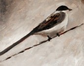 Bird Artwork Print of Original Oil Daily Painting Bird on a Wire 5x5 inches small art natural brown swallow