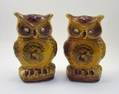 Vintage Owl Salt and Pepper Shakers - Retro Novelty Tan Bird Shakers