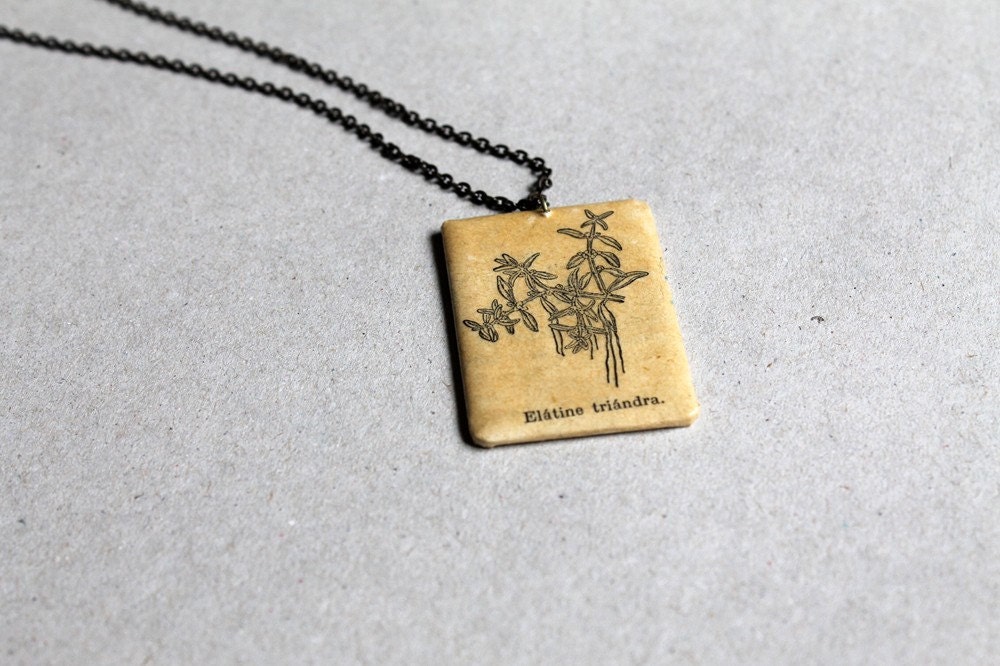 Botanical necklace - Elatine triandra