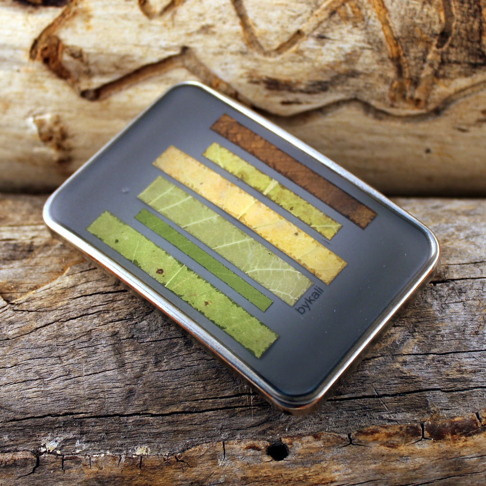 spectrum of autumn in gray buckle