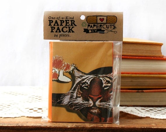 One-of-a-Kind Paper Pack - 24 pieces - Orange