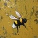 Bee painting 238 12x12 inch insect portrait original oil painting by Roz