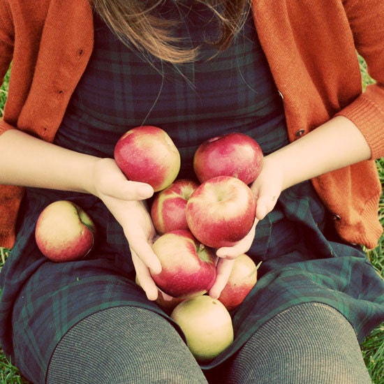 Apple Portrait,  Autumn Bounty, 5x5 Photograph - Orchard Apples Whimsical Photo