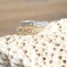 Silver Coral Twig Set