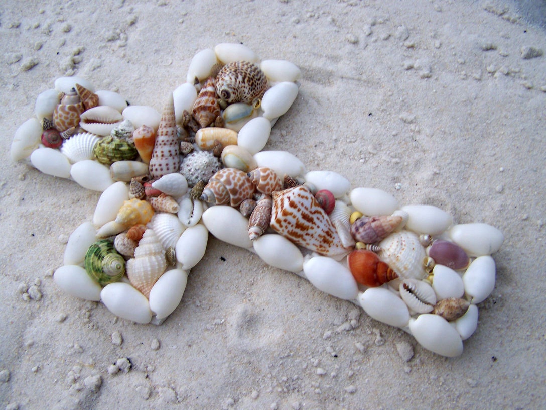 Cross Seashell Mosaic in Colorful Natural Shells Small 9x6