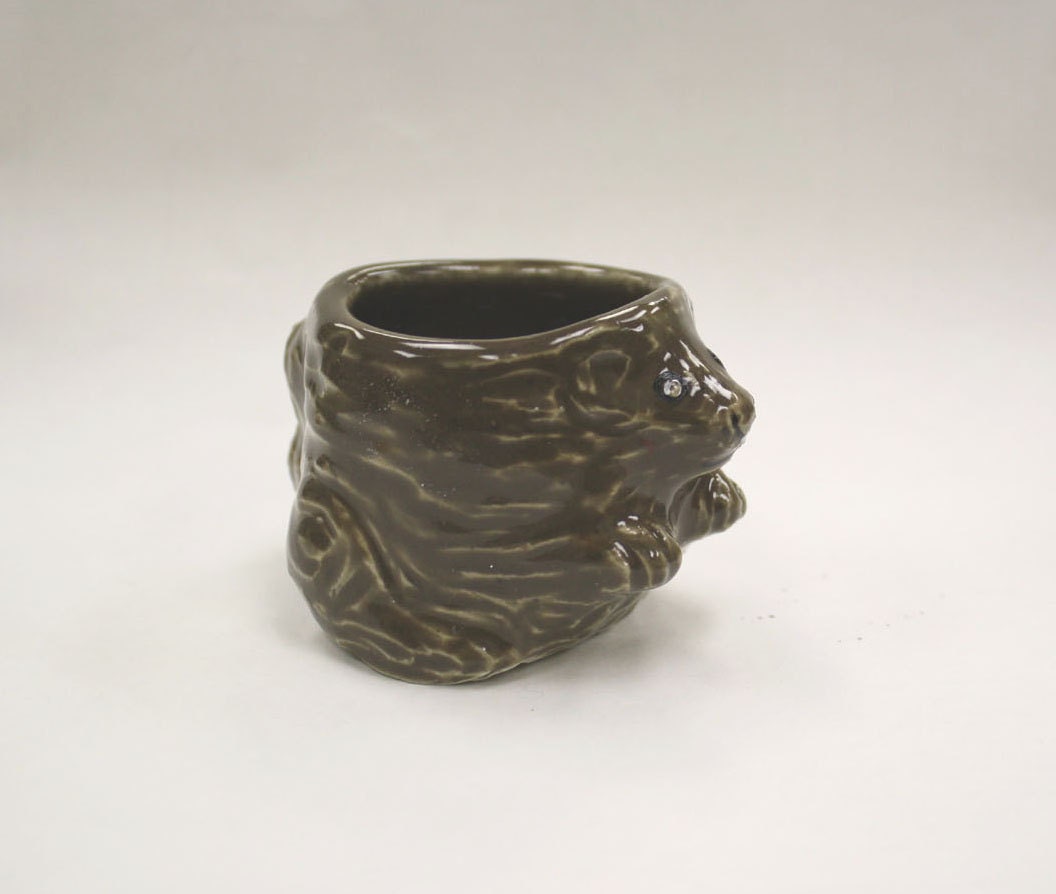 Awww Nuts Squirrel Shot Glass