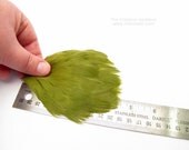 French Vintage goose feather pad - Parrot Green  - millinery fascinators, headbands, hair clips, cocktail hats, church hats, bridal