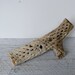 Large Vintage Cholla Cactus Skeleton