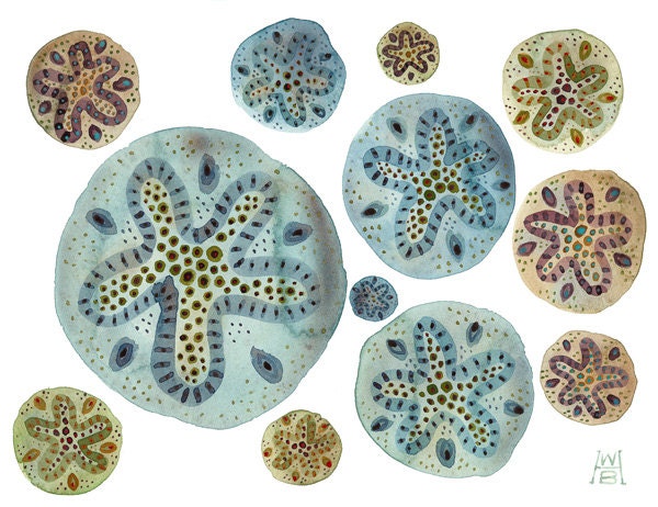 By the Sea No. 2 sand dollars original watercolor painting